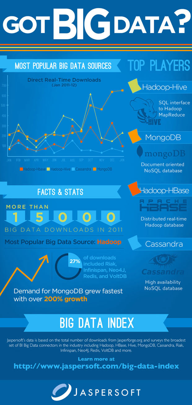 Cloud Infographic: Big Data Top Players | The Cloud Infographic